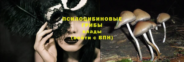 дмт Белоозёрский