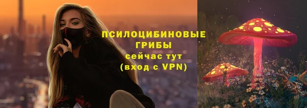 синтетический гашиш Белокуриха