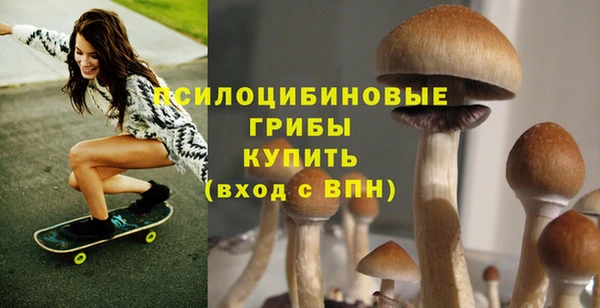 синтетический гашиш Белокуриха